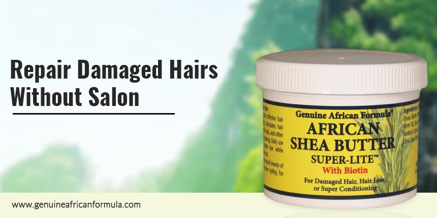 Repair Damaged Hair Without the Salon